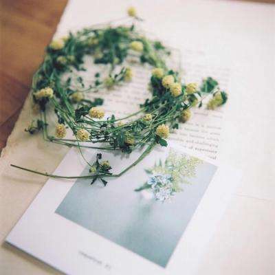 手机买彩票app下载下载手机版