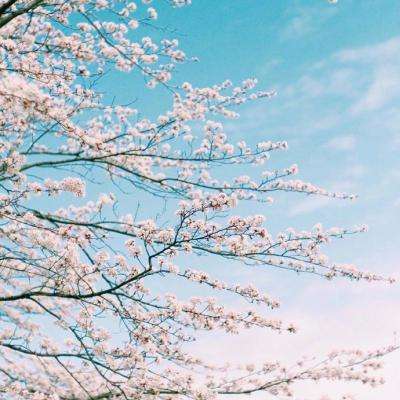 澳门·新葡澳京